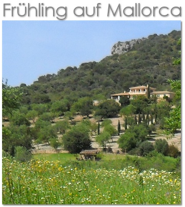 Reisetipps Frhling auf Mallorca